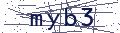 验证码