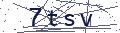 验证码