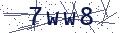 验证码
