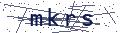 验证码