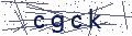 验证码