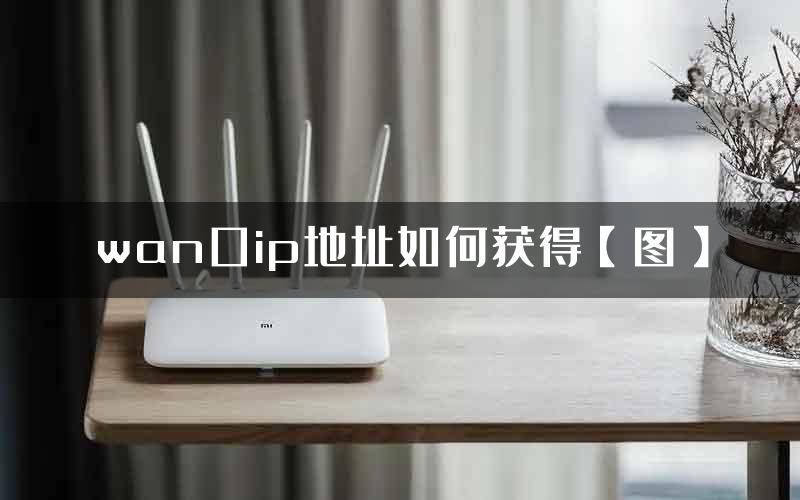 wan口ip地址如何获得【图】