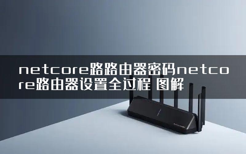 netcore路路由器密码netcore路由器设置全过程 图解