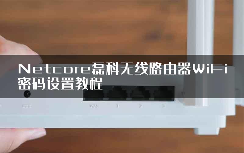 Netcore磊科无线路由器WiFi密码设置教程