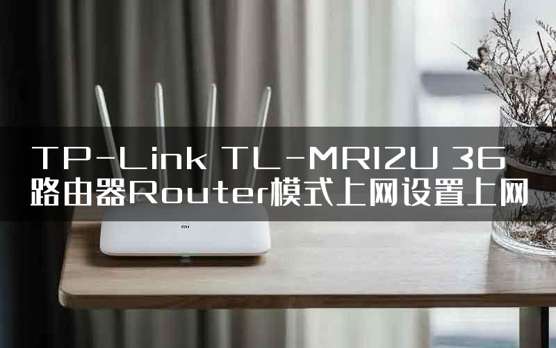 TP-Link TL-MR12U 3G路由器Router模式上网设置上网