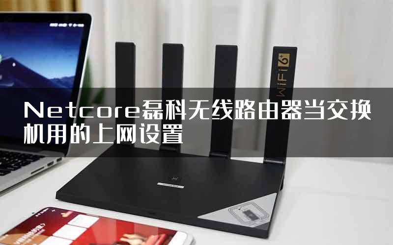 Netcore磊科无线路由器当交换机用的上网设置