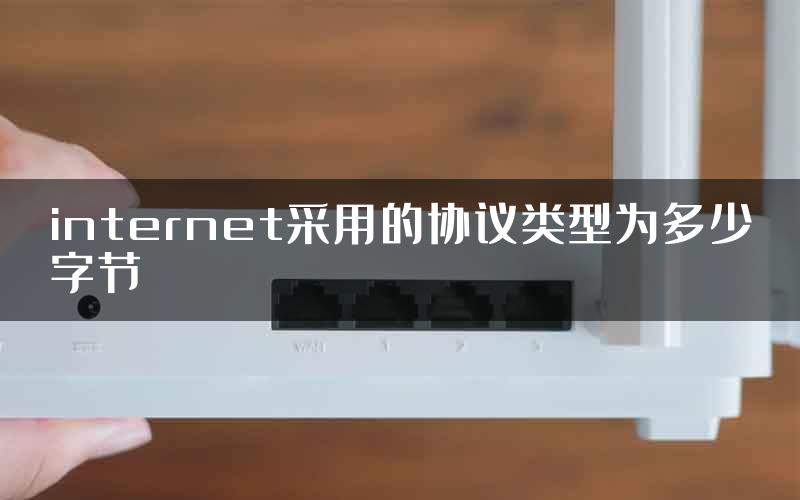 internet采用的协议类型为多少字节