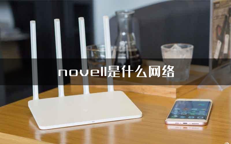 novell是什么网络