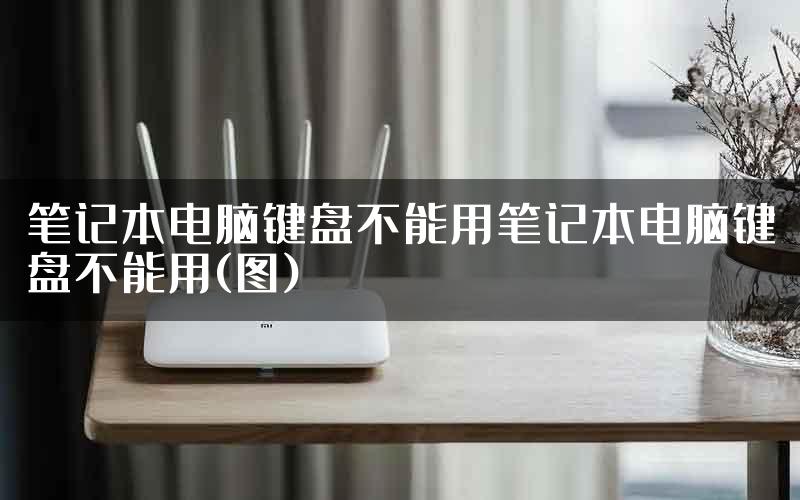 笔记本电脑键盘不能用笔记本电脑键盘不能用(图)