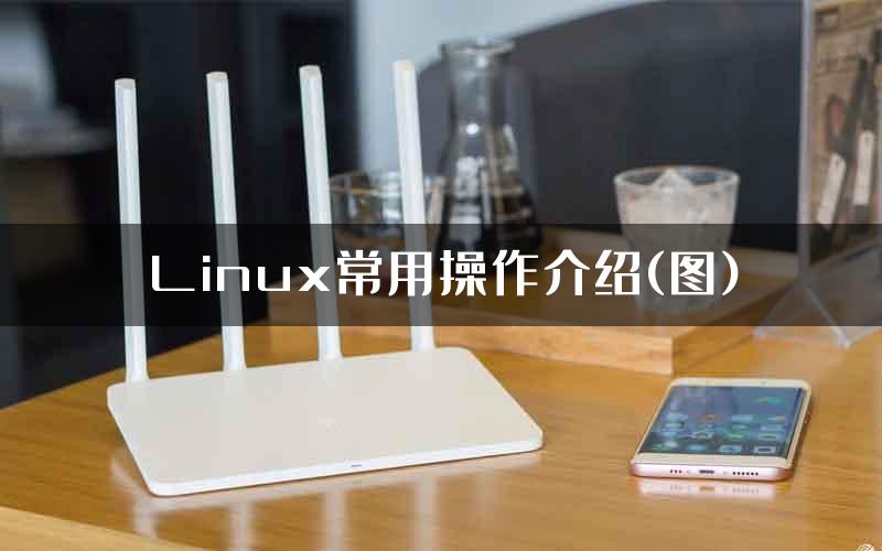 Linux常用操作介绍(图)