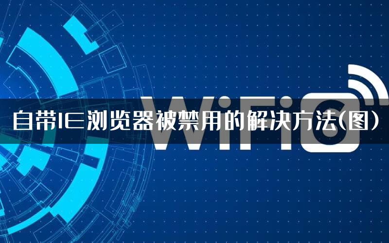 自带IE浏览器被禁用的解决方法(图)