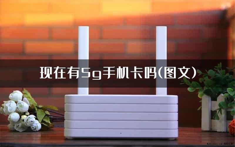 现在有5g手机卡吗(图文)