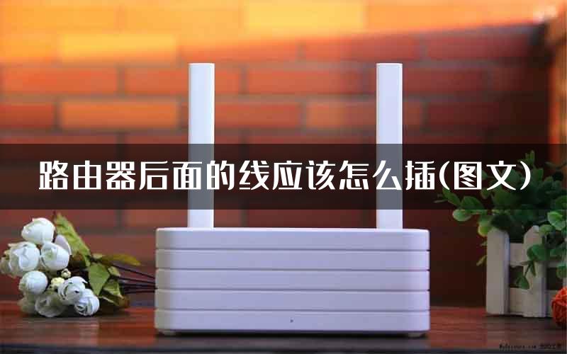 路由器后面的线应该怎么插(图文)