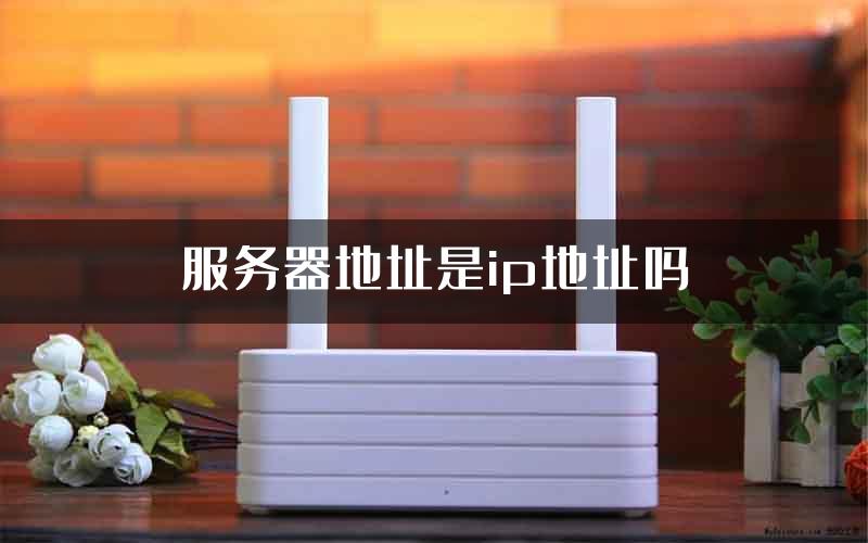 服务器地址是ip地址吗