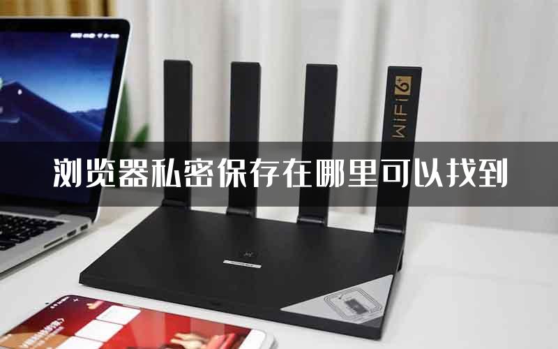 浏览器私密保存在哪里可以找到