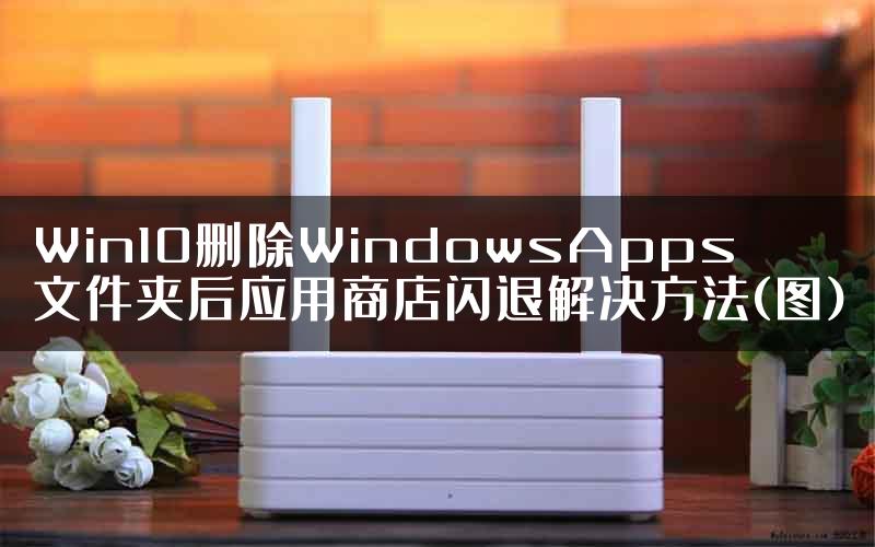 Win10删除WindowsApps文件夹后应用商店闪退解决方法(图)