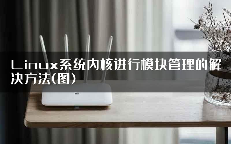 Linux系统内核进行模块管理的解决方法(图)
