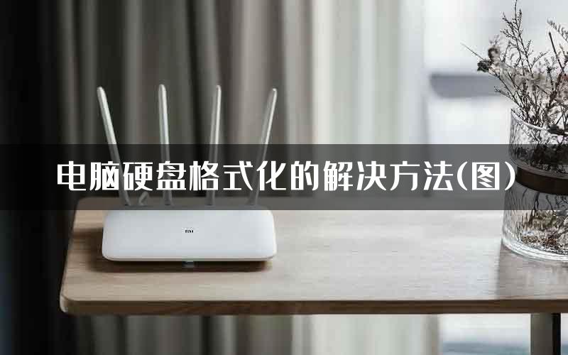 电脑硬盘格式化的解决方法(图)