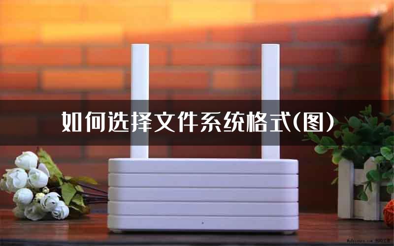 如何选择文件系统格式(图)