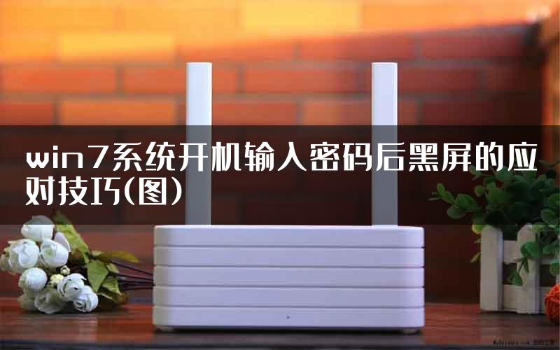 win7系统开机输入密码后黑屏的应对技巧(图)