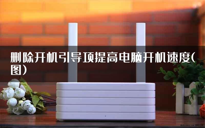 删除开机引导项提高电脑开机速度(图)