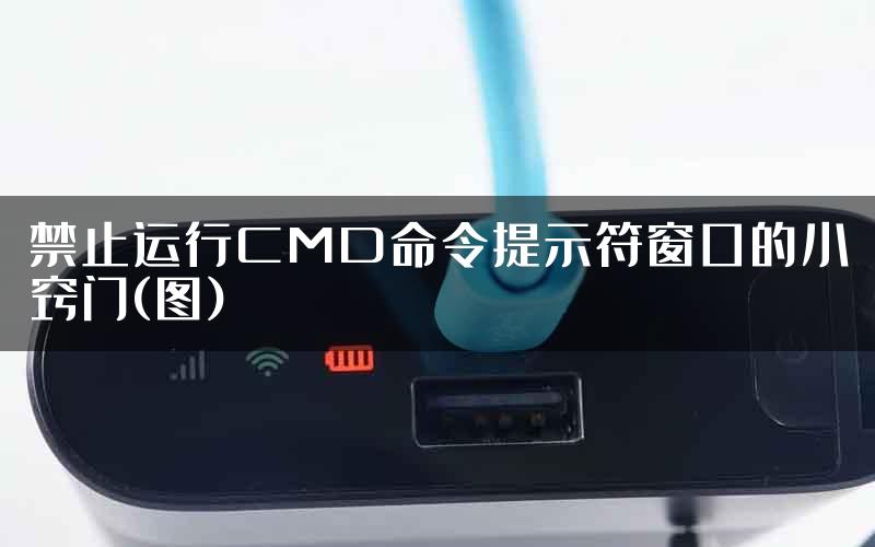 禁止运行CMD命令提示符窗口的小窍门(图)