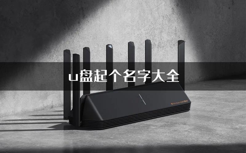 u盘起个名字大全