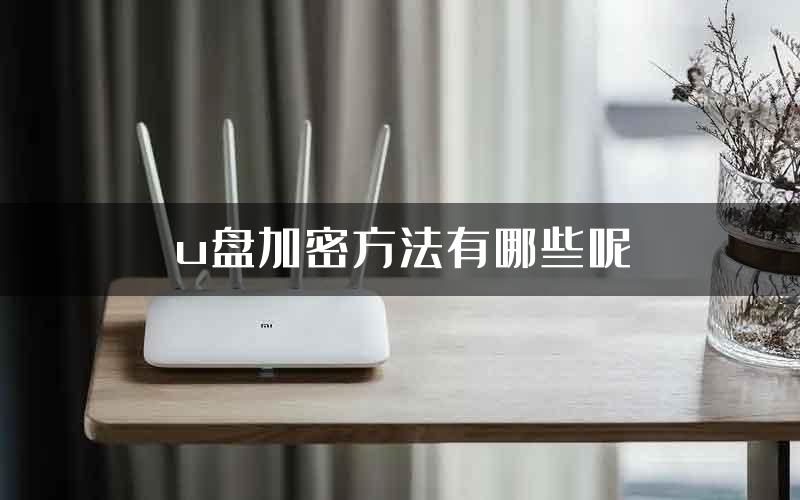 u盘加密方法有哪些呢