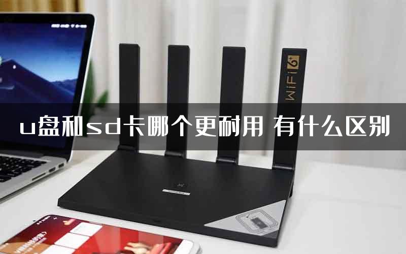 u盘和sd卡哪个更耐用 有什么区别