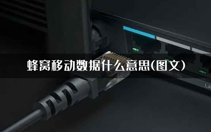 蜂窝移动数据什么意思(图文)