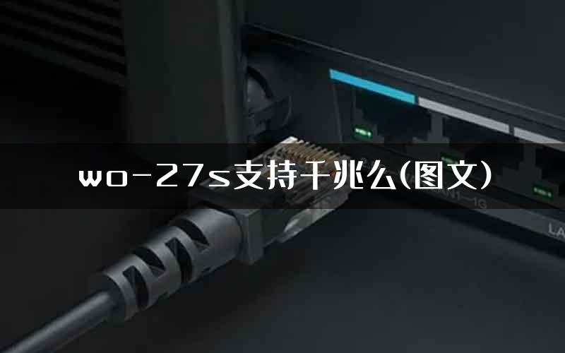 wo-27s支持千兆么(图文)