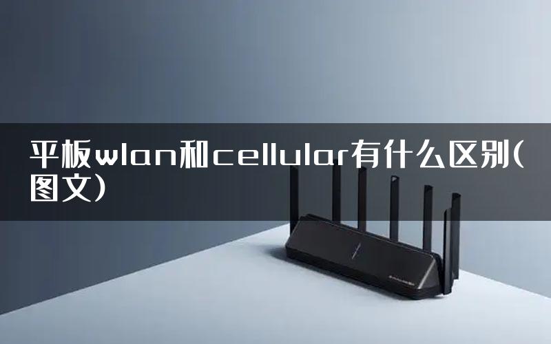 平板wlan和cellular有什么区别(图文)