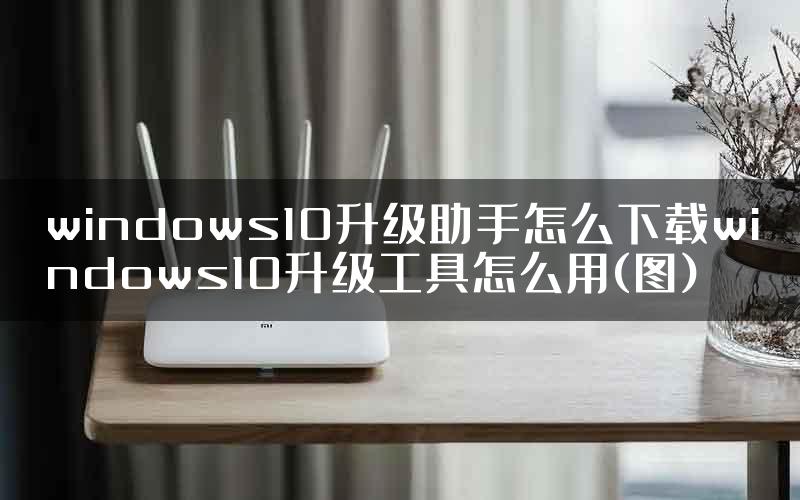 windows10升级助手怎么下载windows10升级工具怎么用(图)