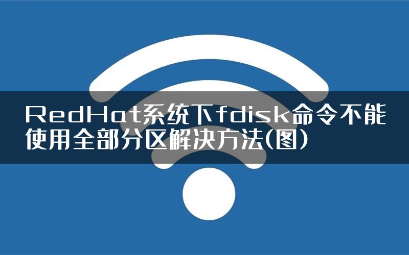 RedHat系统下fdisk命令不能使用全部分区解决方法(图)