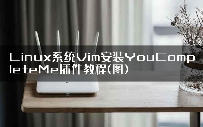Linux系统Vim安装YouCompleteMe插件教程(图)