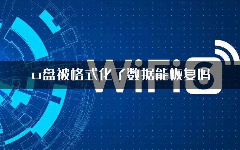 u盘被格式化了数据能恢复吗