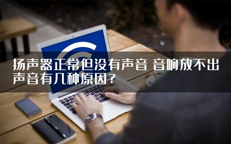 扬声器正常但没有声音 音响放不出声音有几种原因？