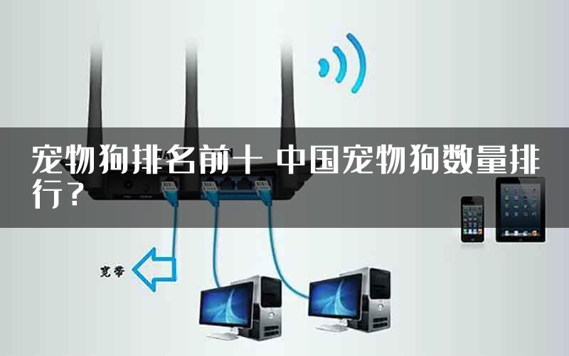 宠物狗排名前十 中国宠物狗数量排行？