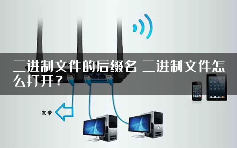 二进制文件的后缀名 二进制文件怎么打开？