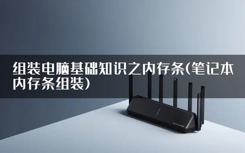 组装电脑基础知识之内存条(笔记本内存条组装)