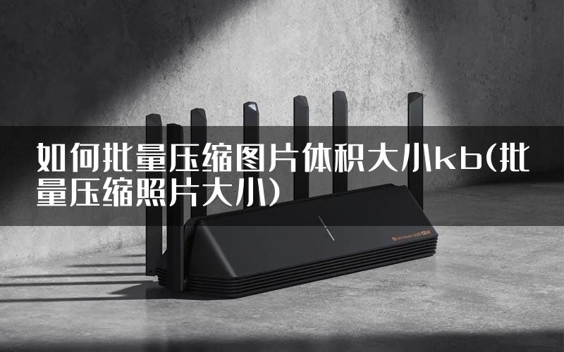 如何批量压缩图片体积大小kb(批量压缩照片大小)