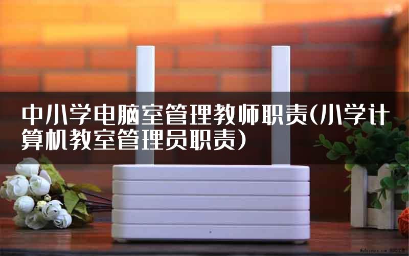 中小学电脑室管理教师职责(小学计算机教室管理员职责)