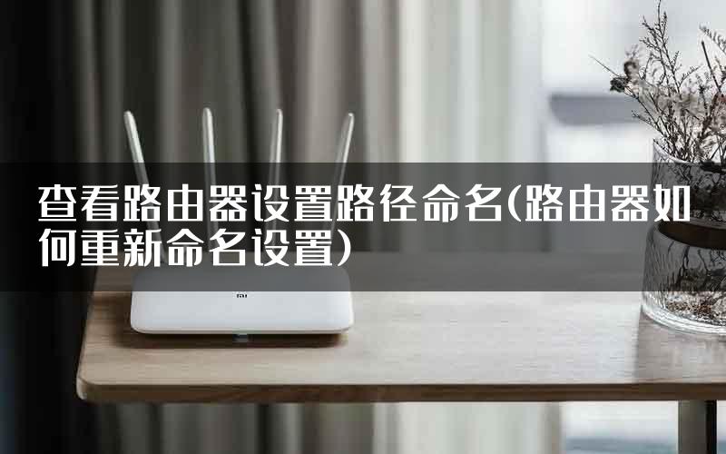 查看路由器设置路径命名(路由器如何重新命名设置)