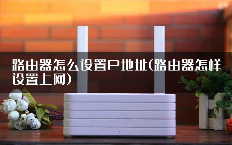 路由器怎么设置P地址(路由器怎样设置上网)