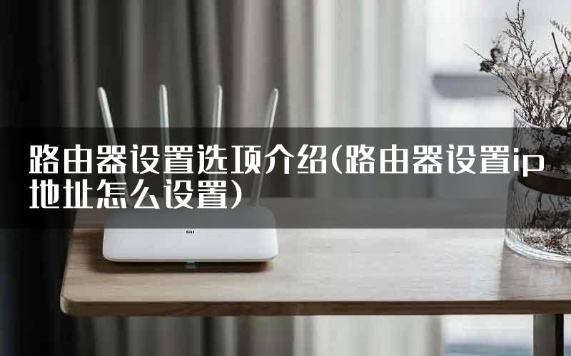 路由器设置选项介绍(路由器设置ip地址怎么设置)
