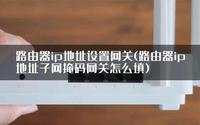 路由器ip地址设置网关(路由器ip地址子网掩码网关怎么填)