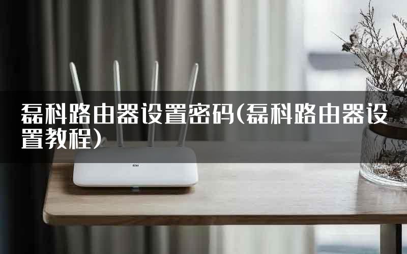 磊科路由器设置密码(磊科路由器设置教程)