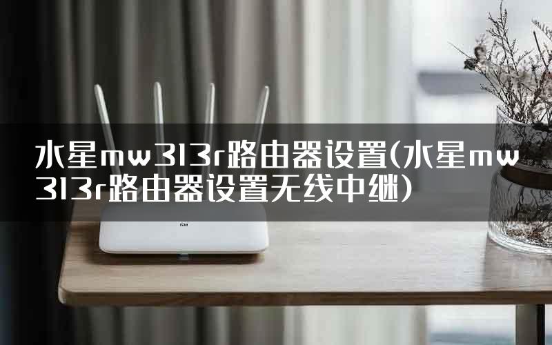 水星mw313r路由器设置(水星mw313r路由器设置无线中继)