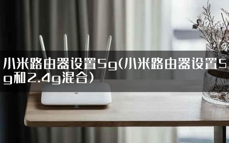 小米路由器设置5g(小米路由器设置5g和2.4g混合)