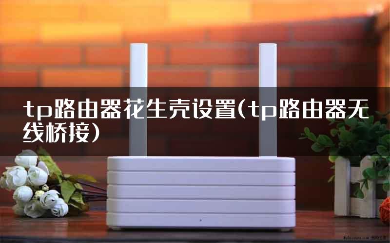 tp路由器花生壳设置(tp路由器无线桥接)